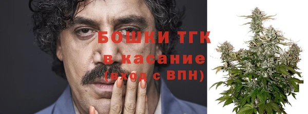 трава Ельня