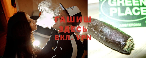 трава Ельня