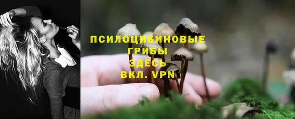 трава Ельня