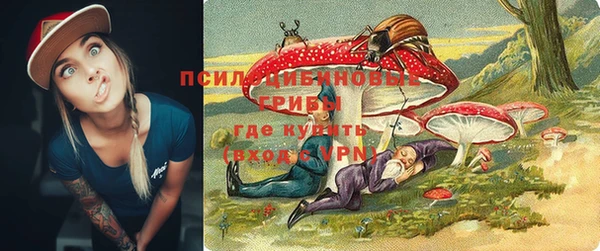 трава Ельня