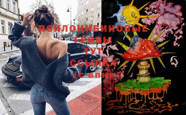марихуана Заводоуковск