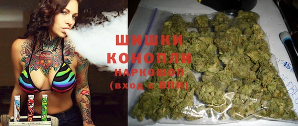 трава Ельня