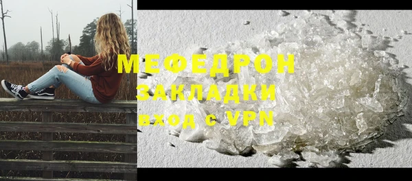 трава Ельня