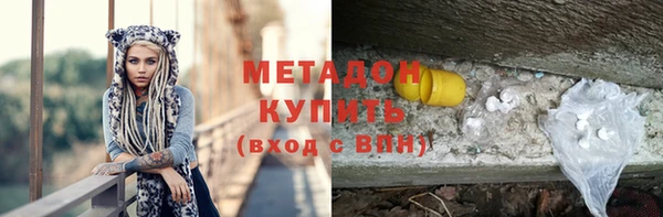 трава Ельня